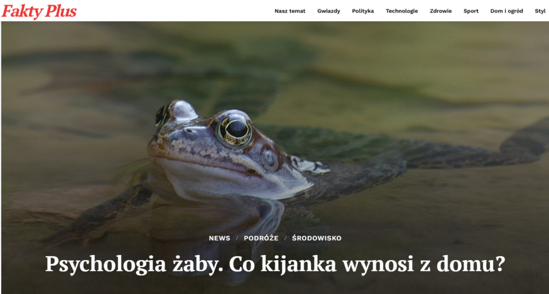 Nauka: Kijanki mają osobowość – badania Uniwersytetu Warszawskiego