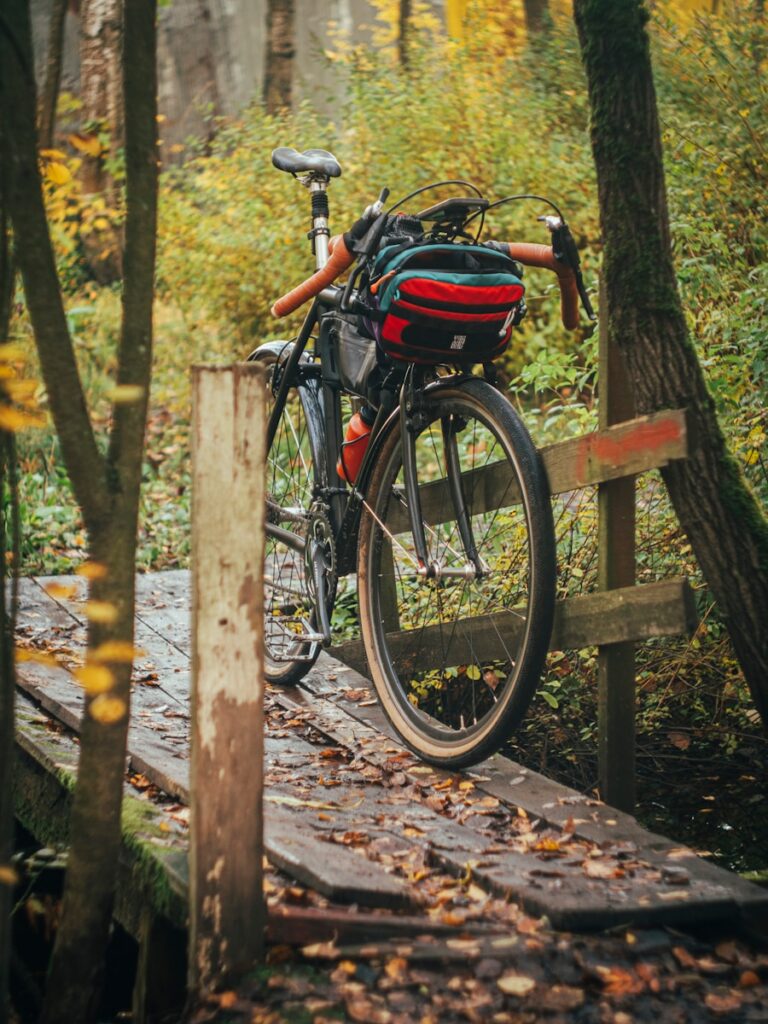 Bike rests on a wooden bridge in the woods.
