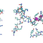 adrenomdullina - peptyd