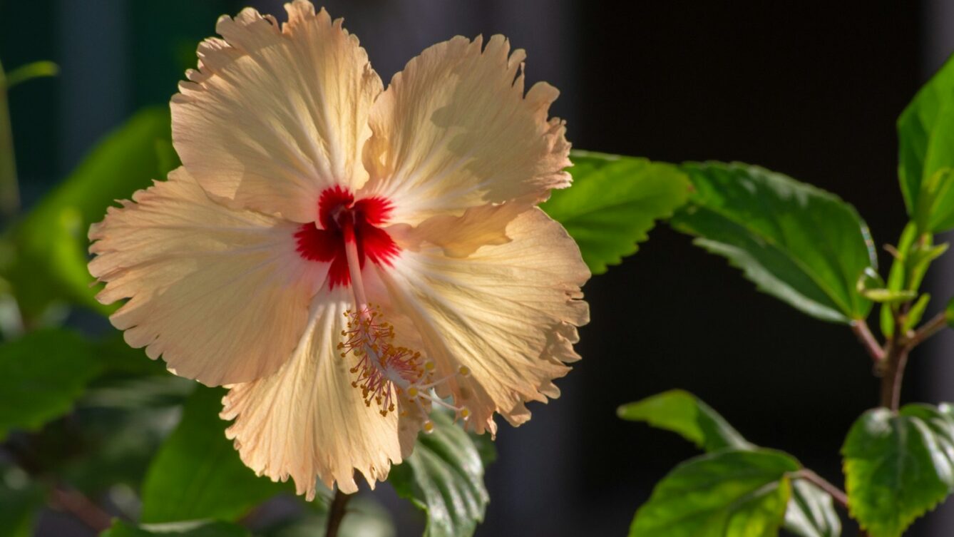 Photo by Jeff Kingma/unsplash