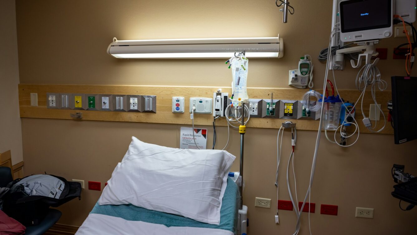 Photo by Judy Beth Morris/unsplash