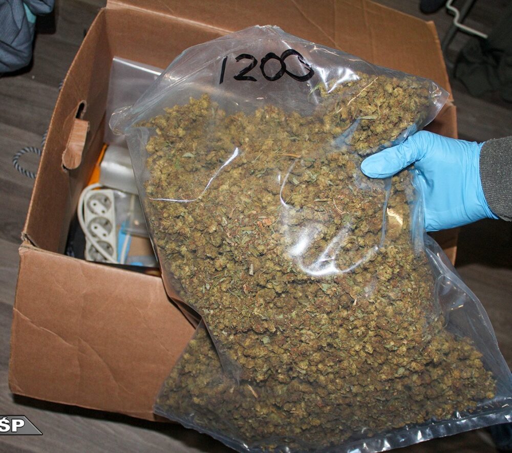 zatrzymanie członków gangu narkotykowego/CBŚP