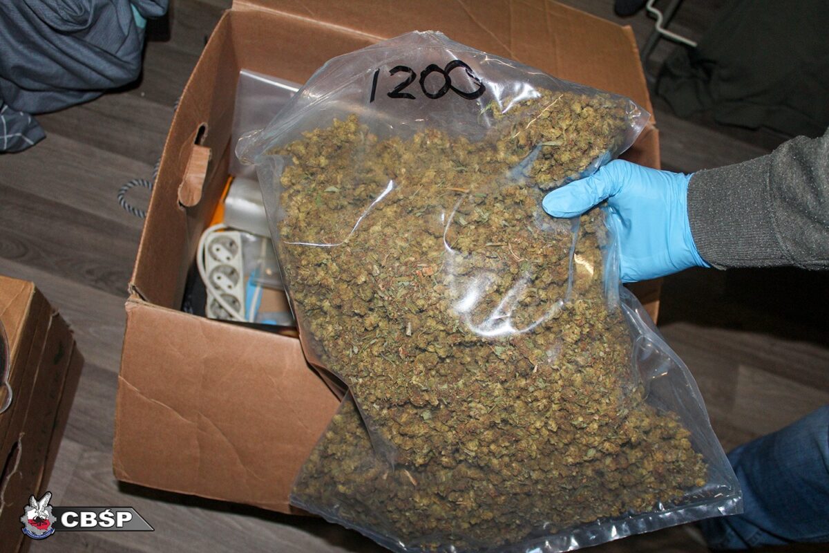 zatrzymanie członków gangu narkotykowego/CBŚP