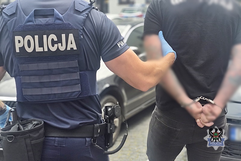 zatrzymanie podejrzanego, Policja