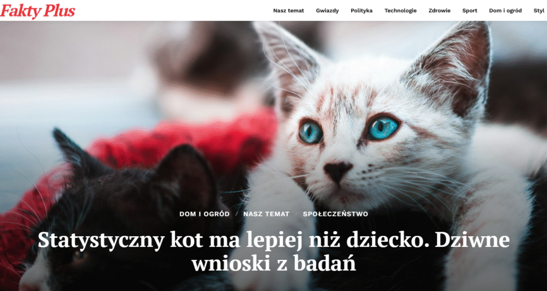 Kot vs dziecko: czas, uwaga i ojcostwo (2025)