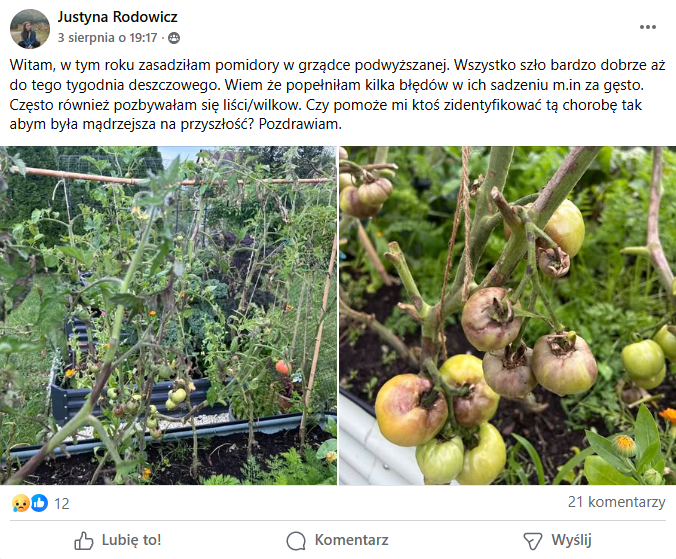 post na FB o mączniaku rzekomym