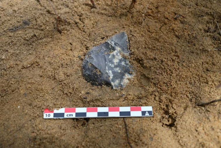 Fragment noża krzemiennego. Fot. Witold Grużdź