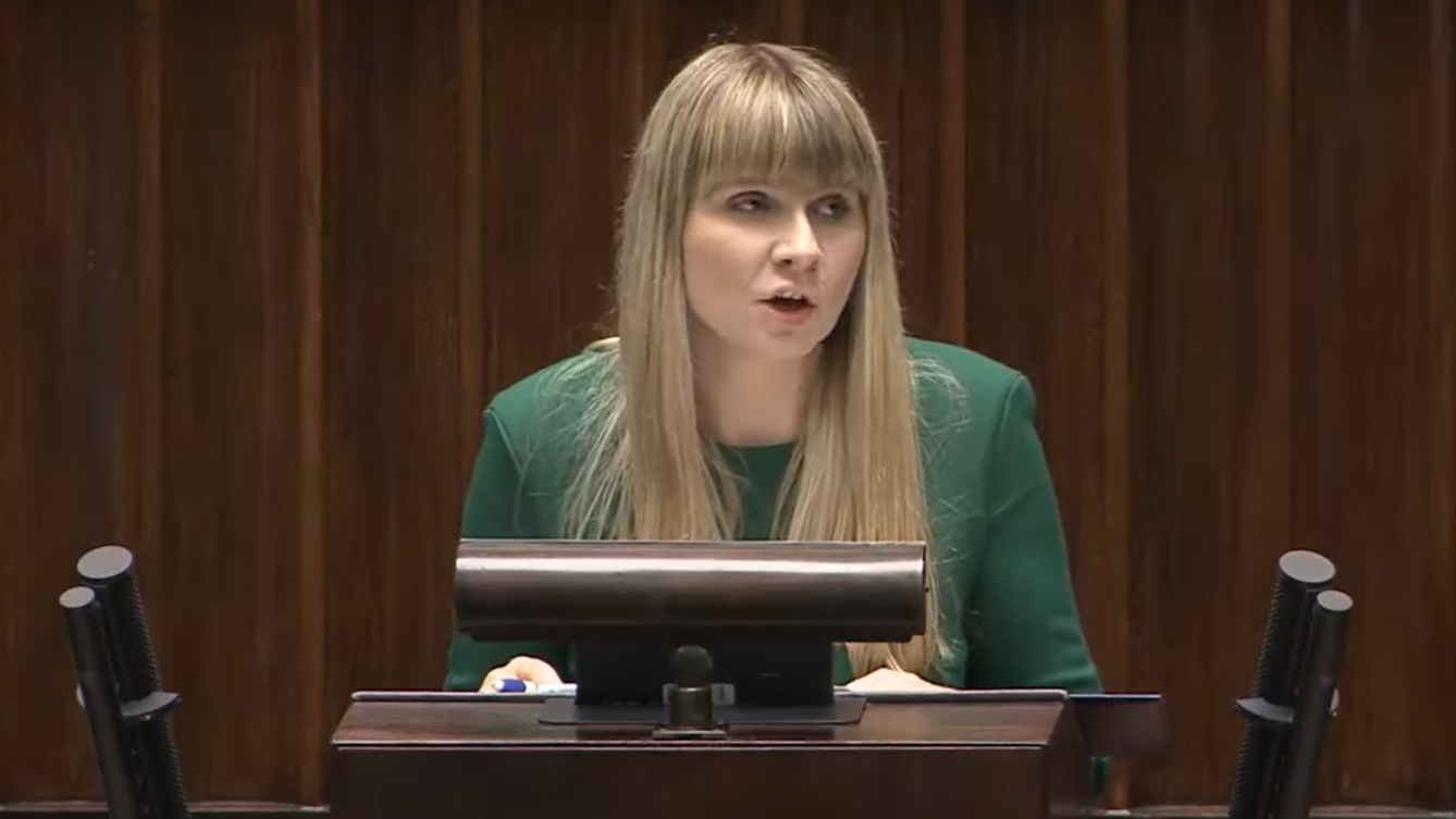 Rzeczniczka Praw Dziecka Monika Horna-Cieślak/youtube - Janusz Jaskółka