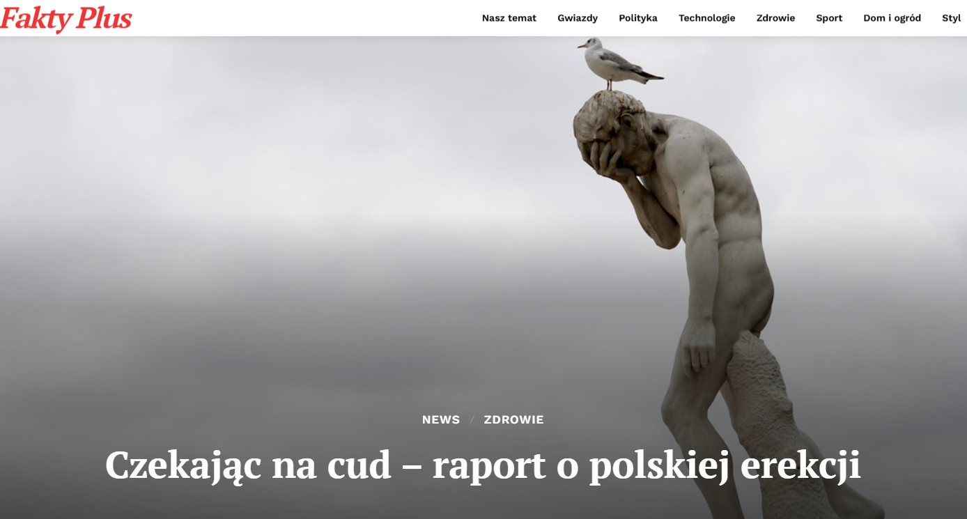 Zaburzenia erekcji – grafika ilustracyjna do artykułu o przyczynach, objawach i leczeniu