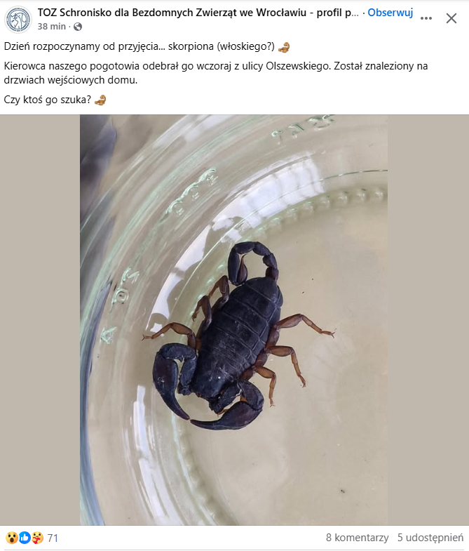Post TOZ o odnalezieniu zagubionego skorpiona/FB