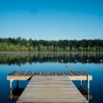 brown wooden dock near calm body of water surrounded by trees