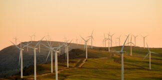 OZE to już ponad 50% polskiej energetyki. Photo by American Public Power Association/unsplash