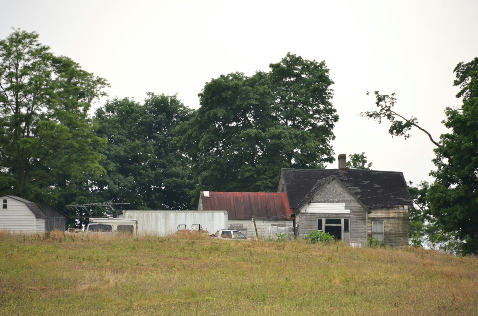 stare gospodarstwo wśród drzew/ Unsplash/Roger Starnes Sr