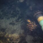 gazociąg podmorski/fot: Allyson Arms/unsplash