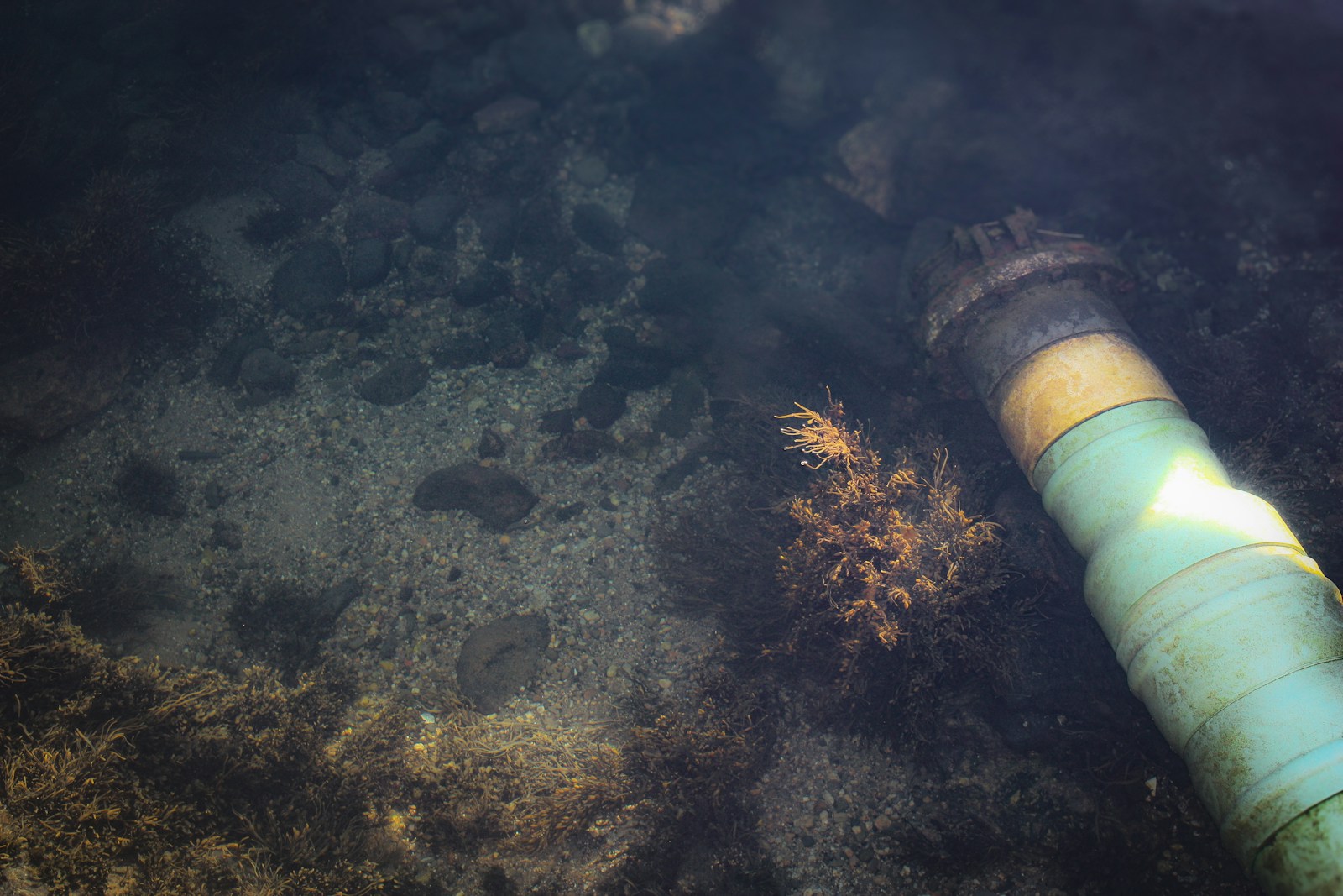 gazociąg podmorski/fot: Allyson Arms/unsplash