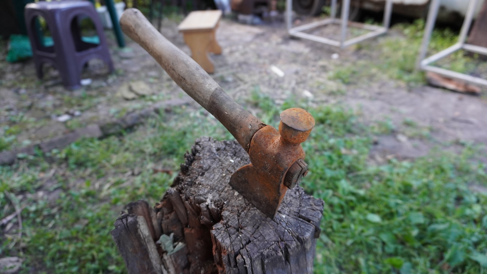 siekiera wbita w pieniek/ fot:  Oleg Devyatka/Unsplash