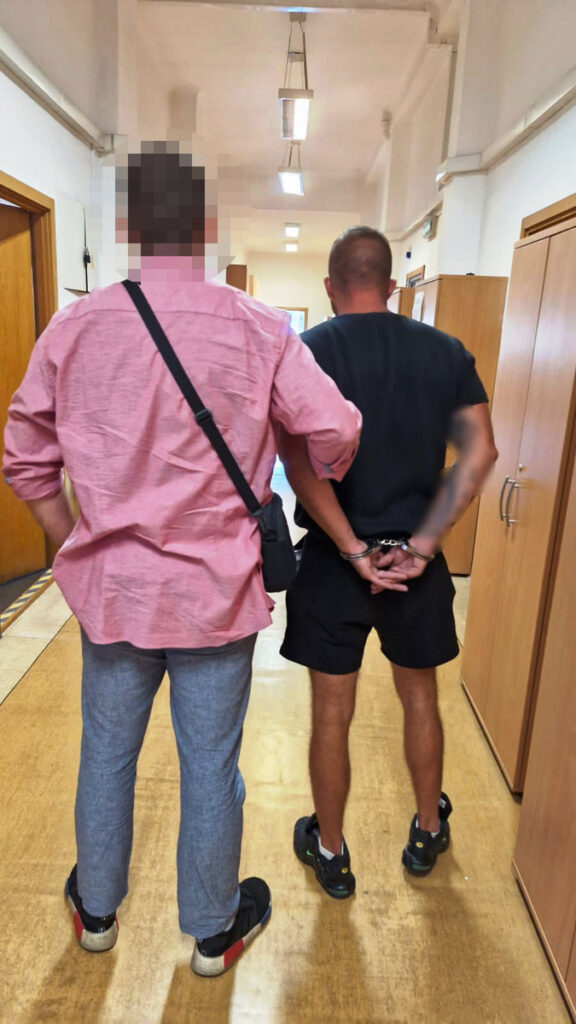 aresztowanie podejrzanego/Policja