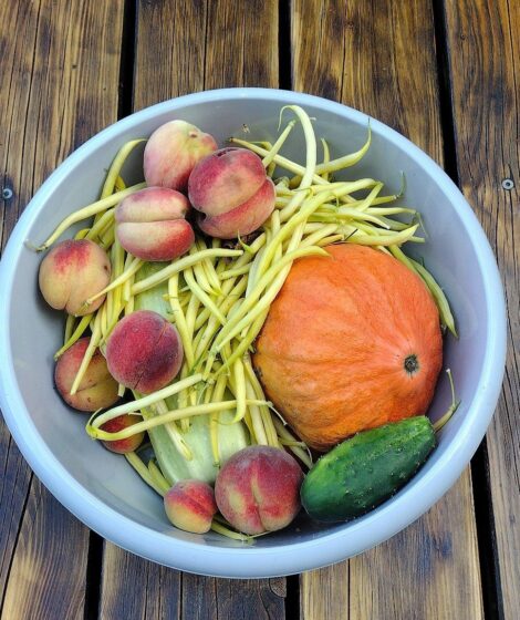 owoce i warzywa w misce na tarasie drewnianym/fot: FaktyPlus.pl