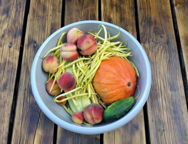 owoce i warzywa w misce na tarasie drewnianym/fot: FaktyPlus.pl