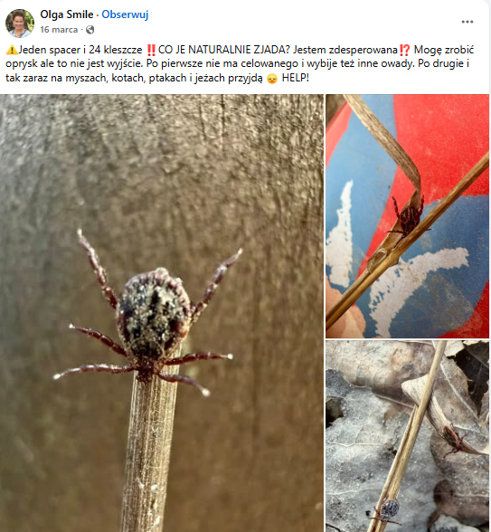 Internauci skarżą się na kleszcze/FB