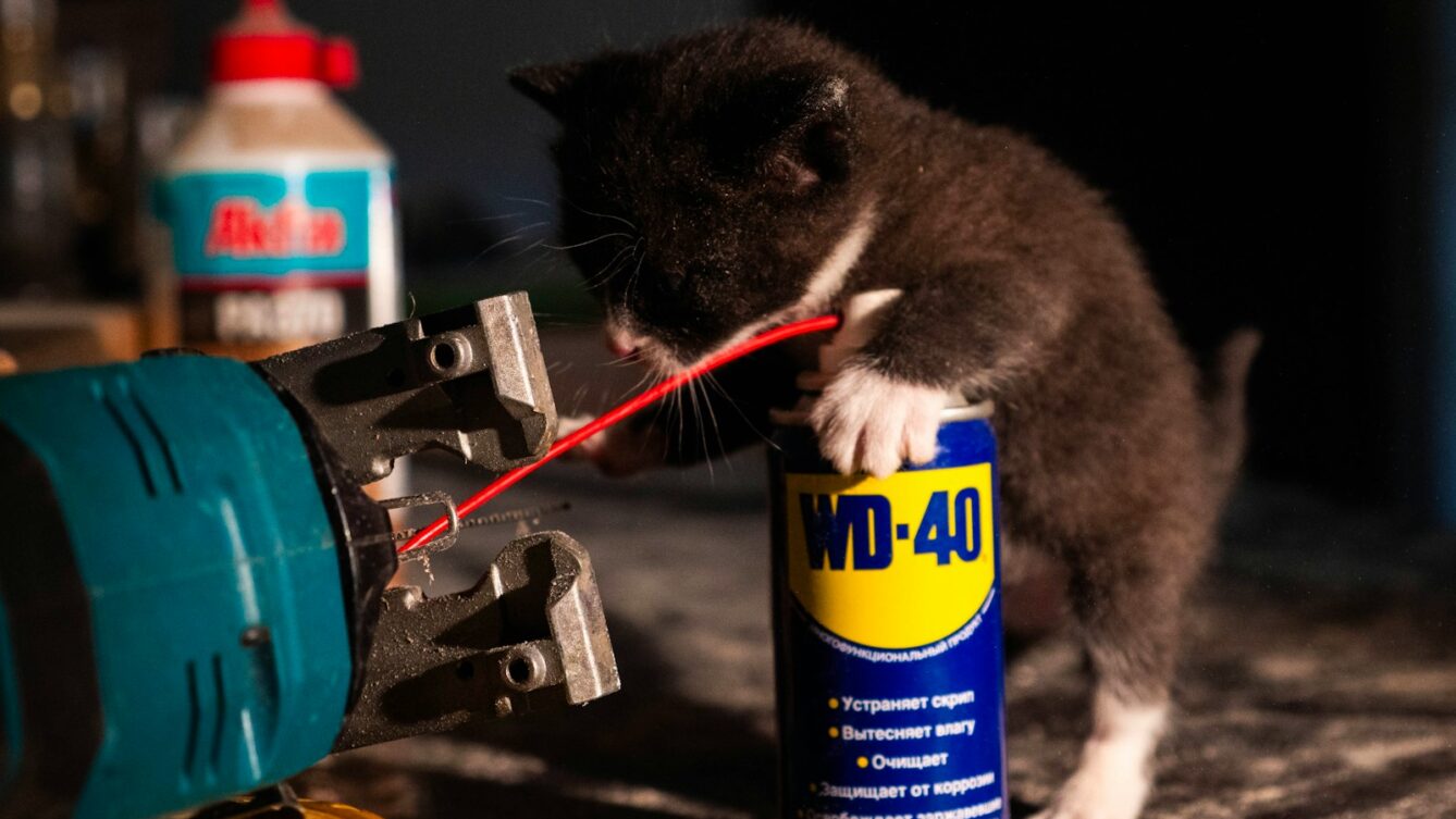 Photo by Ансплэш Степана/unsplash