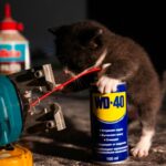 A small kitten playing with a can of glue