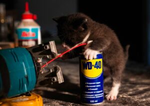 A small kitten playing with a can of glue