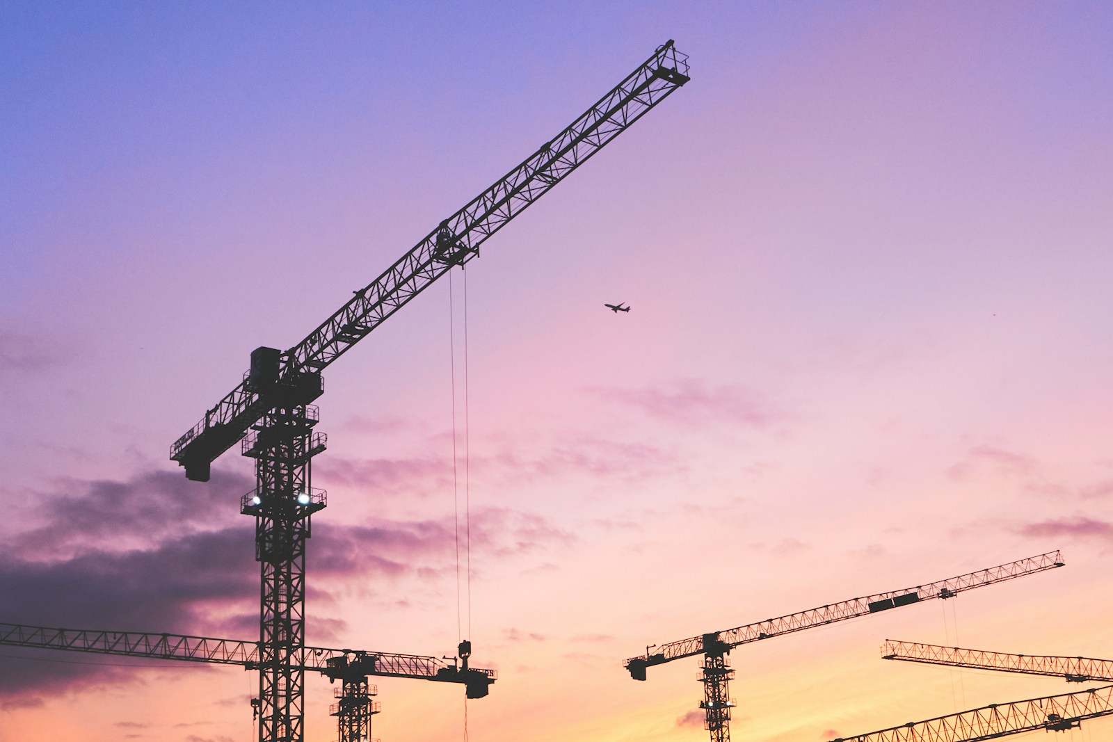 żurawie wieżowe/Unsplash