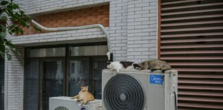 pompa ciepła/ fot: Shawn Rain/ Unsplash