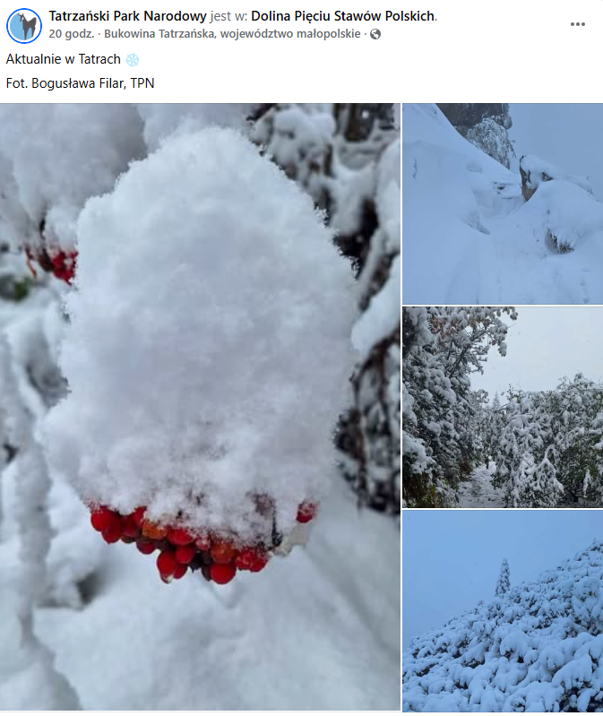 Pierwszy śnieg w Tatrach/ Post TPN na FB