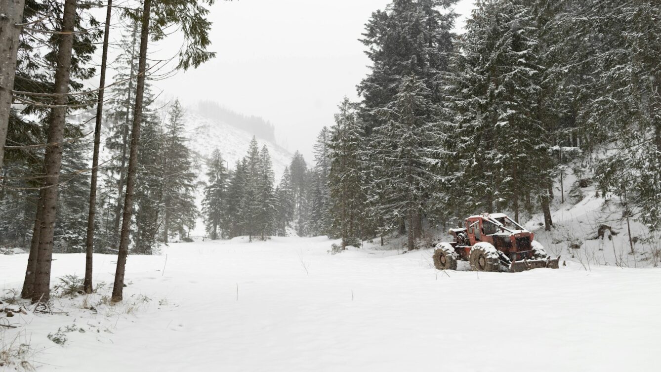 śnieg w górach/ fot:  Ihor Udod /Unsplash