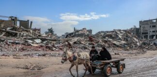 wóz z osłem w Strefie Gazy/ fot: Mohammed Ibrahim/ Unsplash