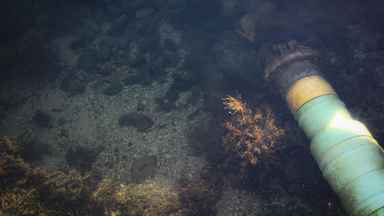 podwodny gazociąg/ fot: Allyson Arms/ Unsplash