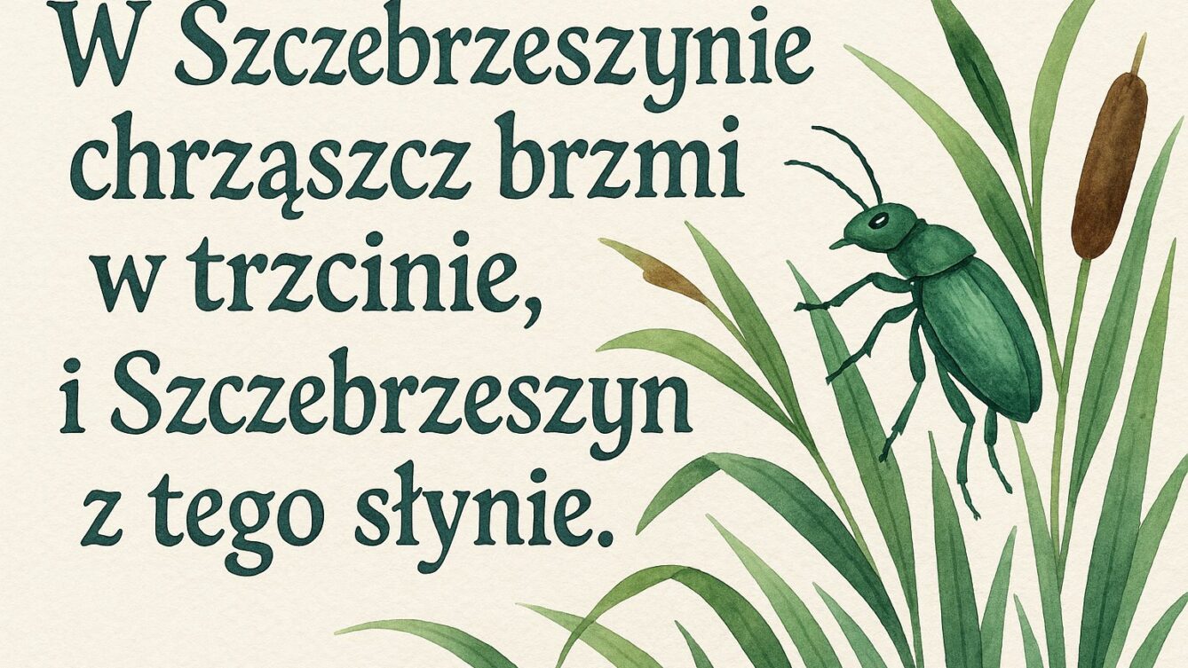 Plansza_Szczebrzeszyn_0_5MB