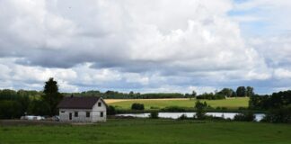 dom wśród zieleni/ fot: Yoel Winkler/ Unsplash