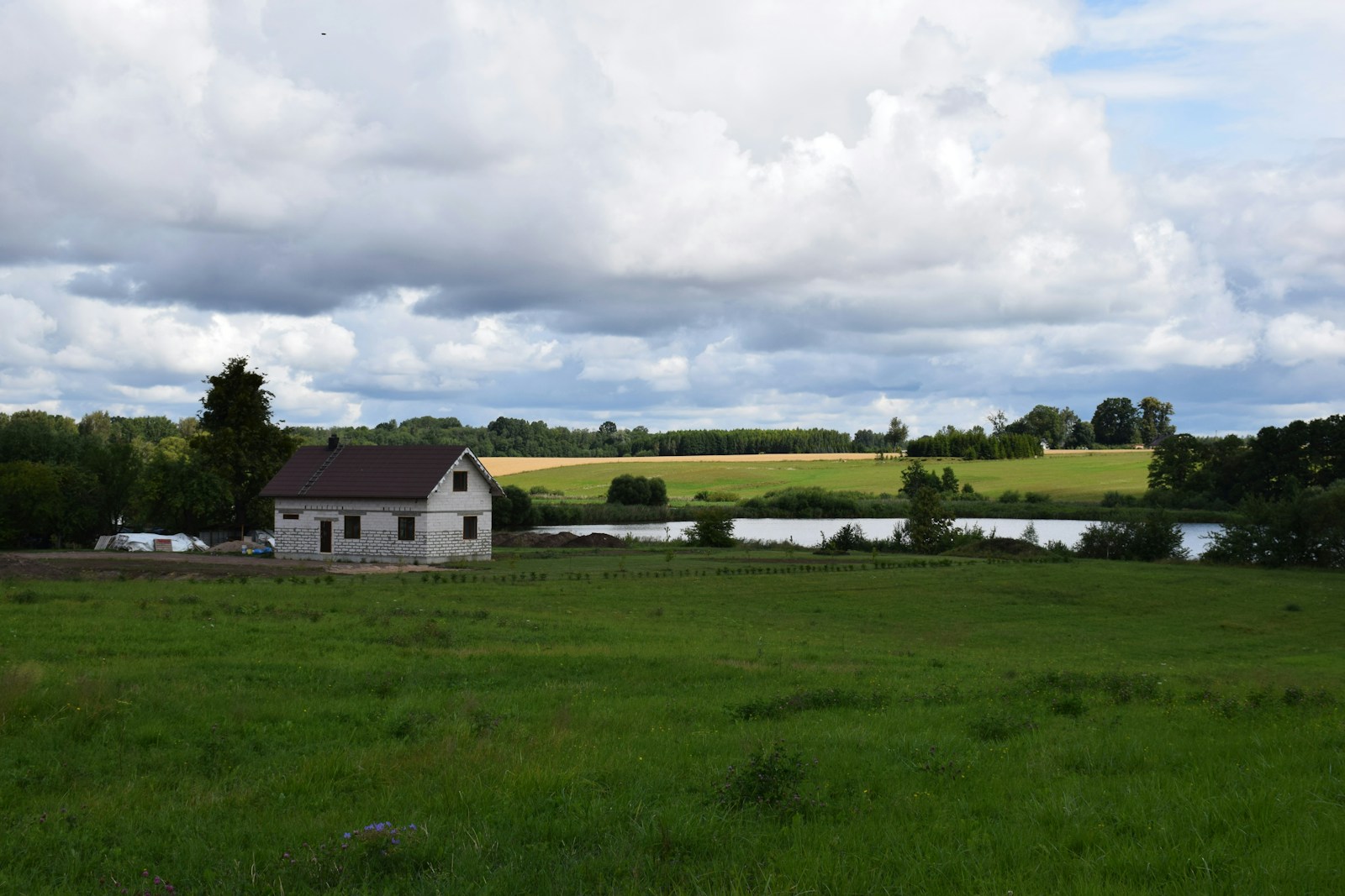 dom wśród zieleni/ fot: Yoel Winkler/ Unsplash