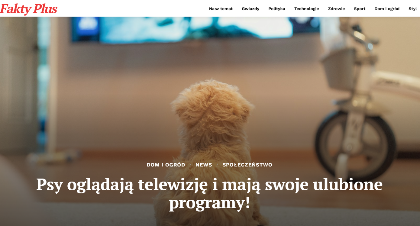 Badania 2025: jak psy reagują na telewizję i różne rodzaje treści ekranowych