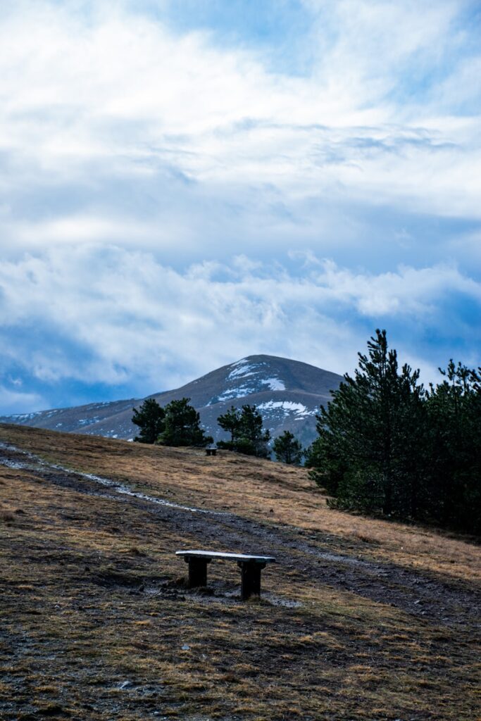 Ciepła zima w górach/ fot: Srdjan Delic