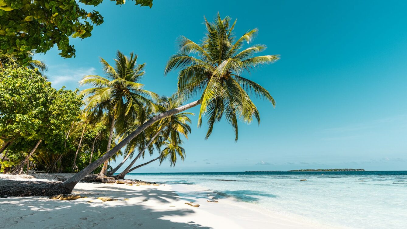 Badania z psychologii i zdrowia publicznego pokazują, że częsty odpoczynek obniża stres skuteczniej niż jeden długi urlop raz w roku. Na zdjęciu: tropikalna wyspa.