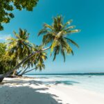 Badania z psychologii i zdrowia publicznego pokazują, że częsty odpoczynek obniża stres skuteczniej niż jeden długi urlop raz w roku. Na zdjęciu: tropikalna wyspa.