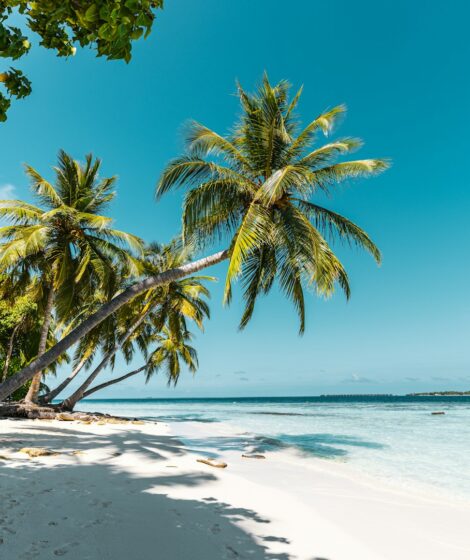 Badania z psychologii i zdrowia publicznego pokazują, że częsty odpoczynek obniża stres skuteczniej niż jeden długi urlop raz w roku. Na zdjęciu: tropikalna wyspa.