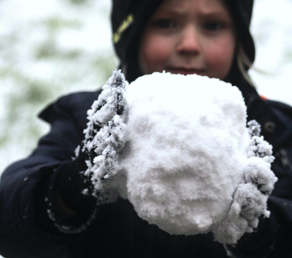 Zawieszenie zajęć w szkołach z powodu mrozów i śniegu