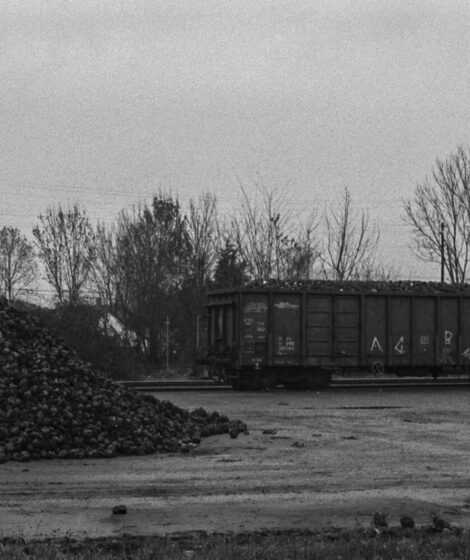 Skład węgla. Morawiecki w aferze węglowej RARS. fot: Simon Daniel/ Unsplash