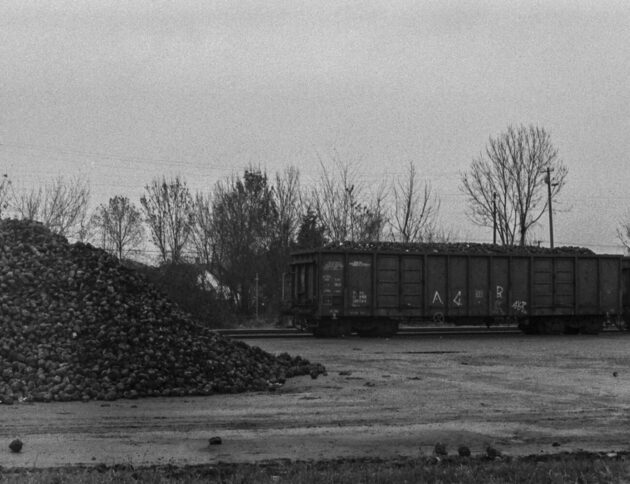 Skład węgla. Morawiecki w aferze węglowej RARS. fot: Simon Daniel/ Unsplash