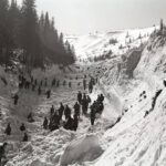 Lawina w Białym Jarze