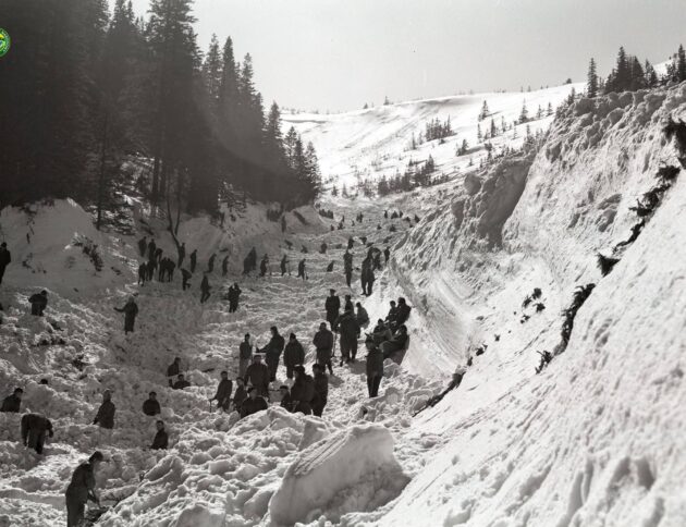 Lawina w Białym Jarze