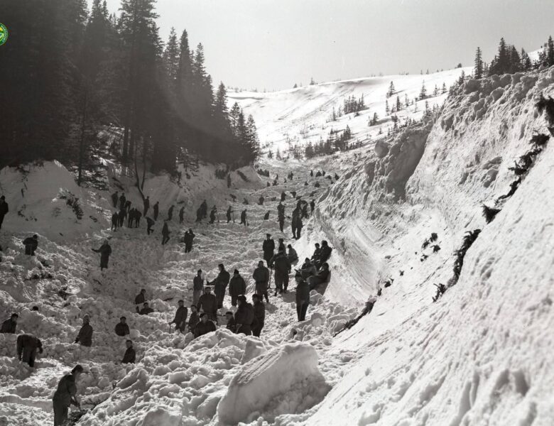 Lawina w Białym Jarze