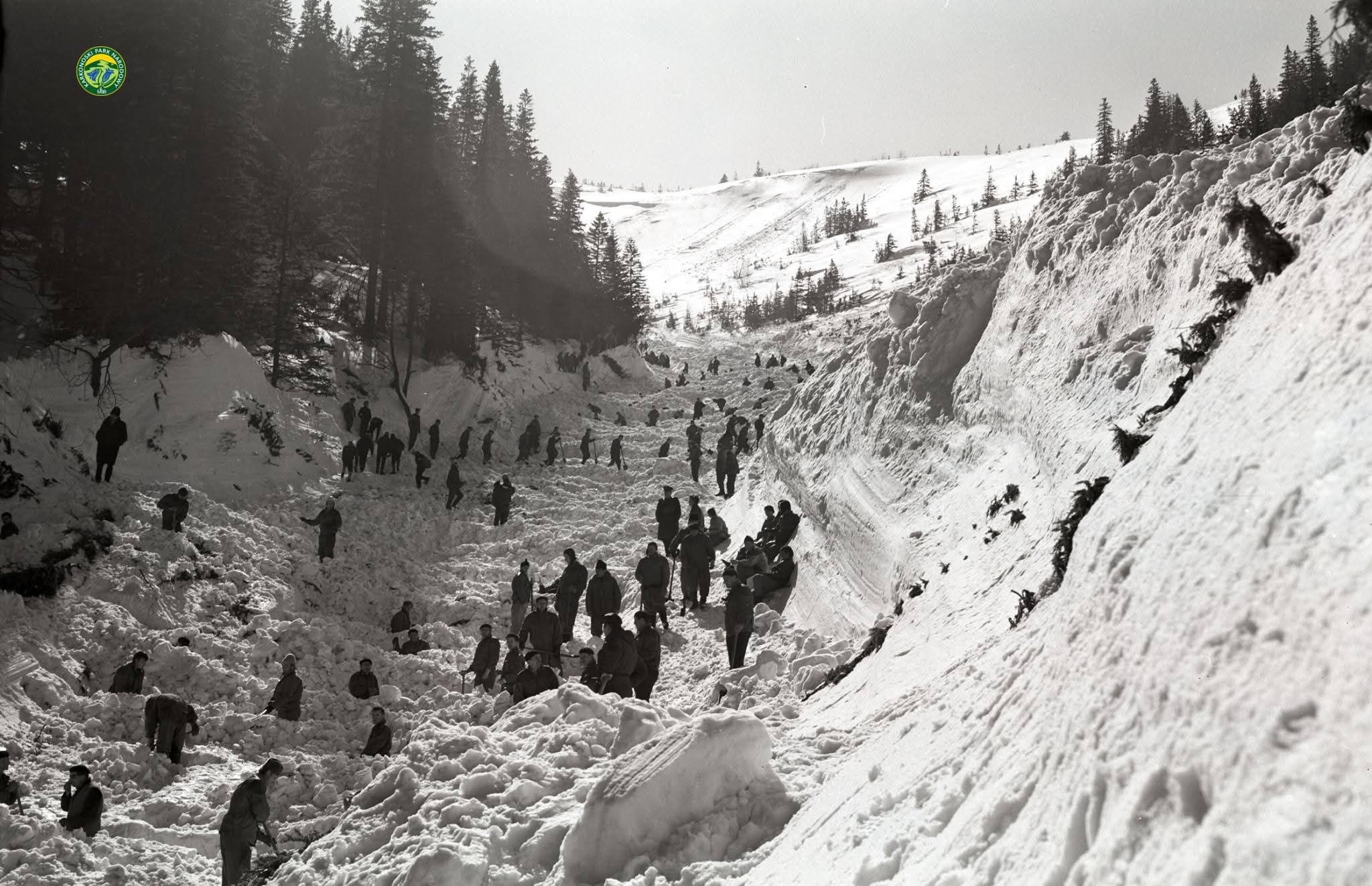 Lawina w Białym Jarze