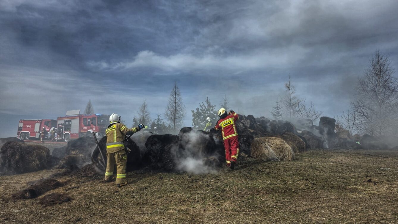 Policja ostrzega - nie wolno wypalać traw! Źródło: Policja