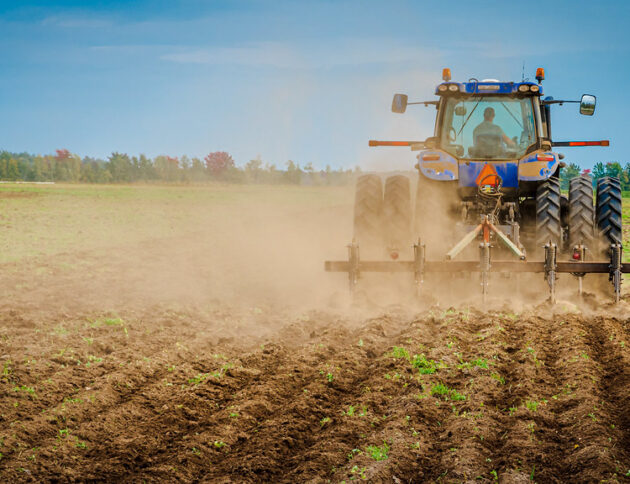 Czy AI zastąpi CEO? Sam Altman i Piotr Kowynia analizują wpływ sztucznej inteligencji na zarządy. Altman zapowiada, że zostanie rolnikiem. Openverse